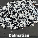 Dalmatian